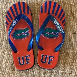 Univ of Florida Gator slides